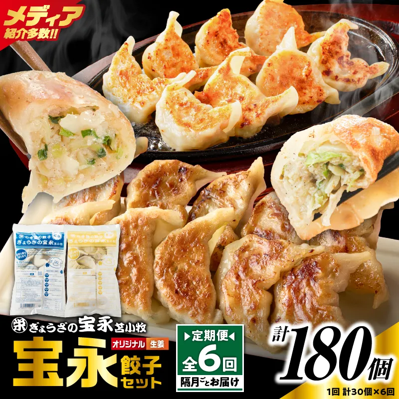 【定期便・全6回 隔月】手包み餃子 ぎょうざの宝永 生姜餃子30個セット(宝永餃子15個入×1袋・生姜餃子15個入×1袋)