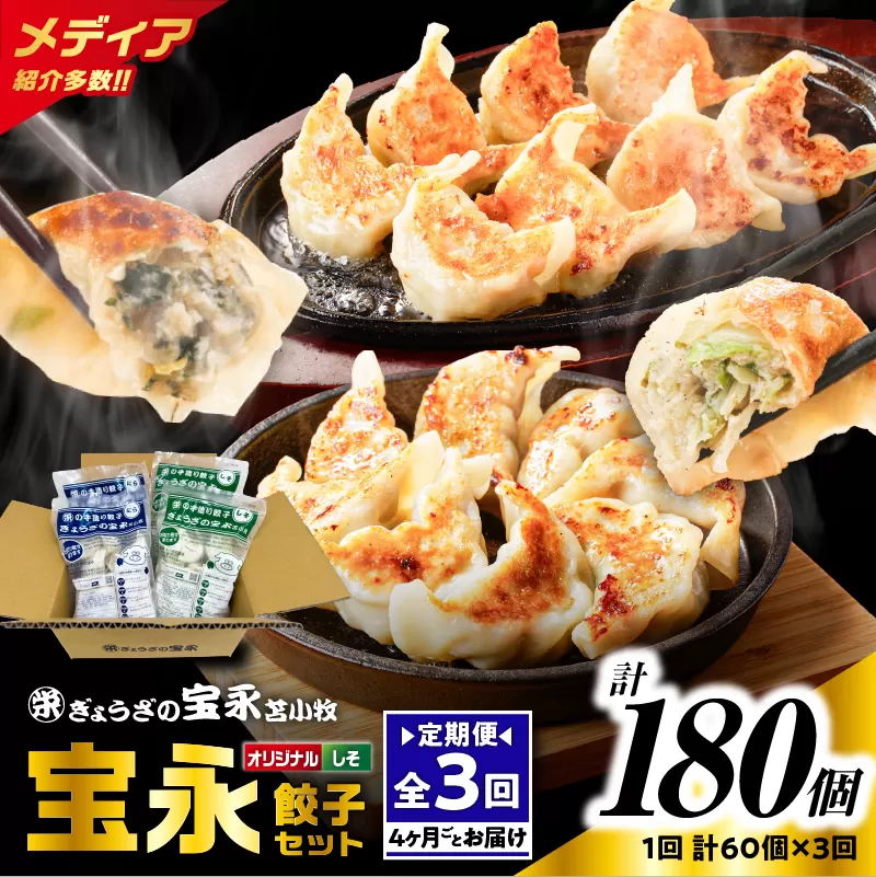 【全3回定期便（4ヶ月毎）】ぎょうざの宝永 しそ餃子セット（宝永餃子 15個入×2袋＆しそ餃子 15個入×2袋）合計1.5kg