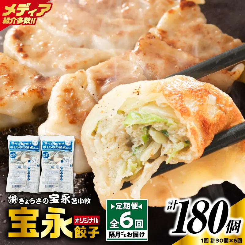 【定期便・全6回 隔月】手包み餃子 ぎょうざの宝永 宝永餃子30個セット(宝永餃子15個入×2袋)