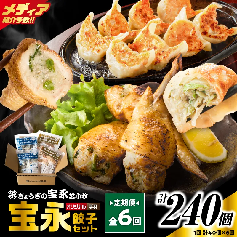 【定期便・全6回 毎月】手包み餃子 ぎょうざの宝永 手羽餃子40個セット（宝永餃子15個入×2袋・手羽餃子5個入×2袋）