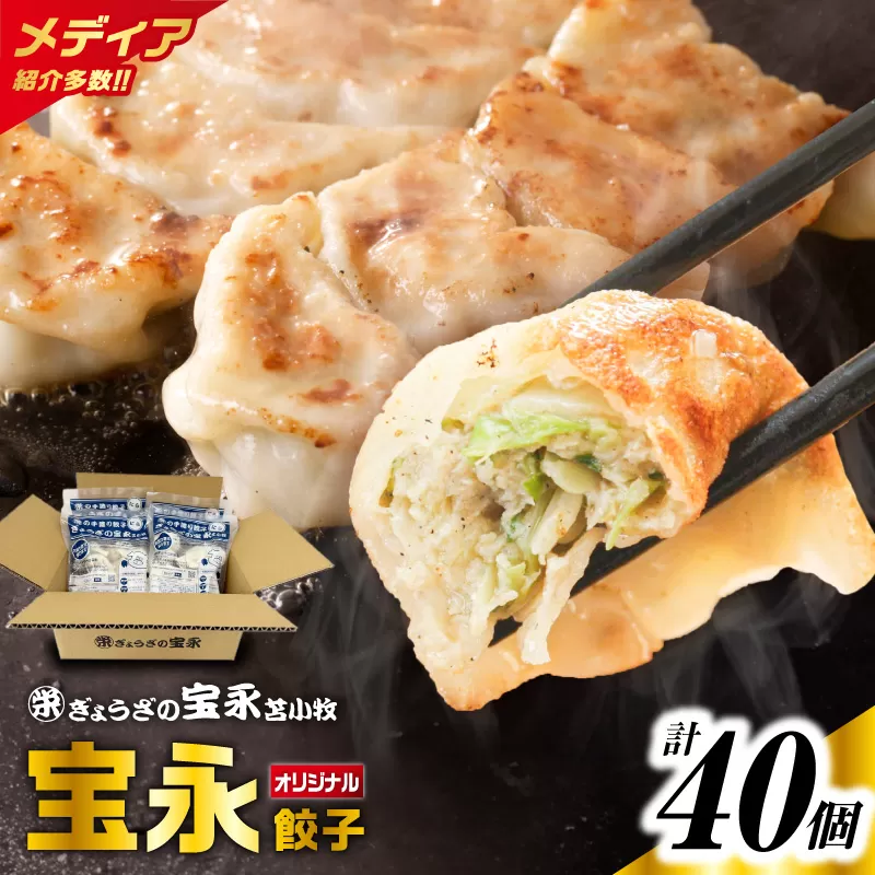 ぎょうざの宝永 宝永餃子10個入セット(宝永餃子10個入×4袋)合計1.0kg