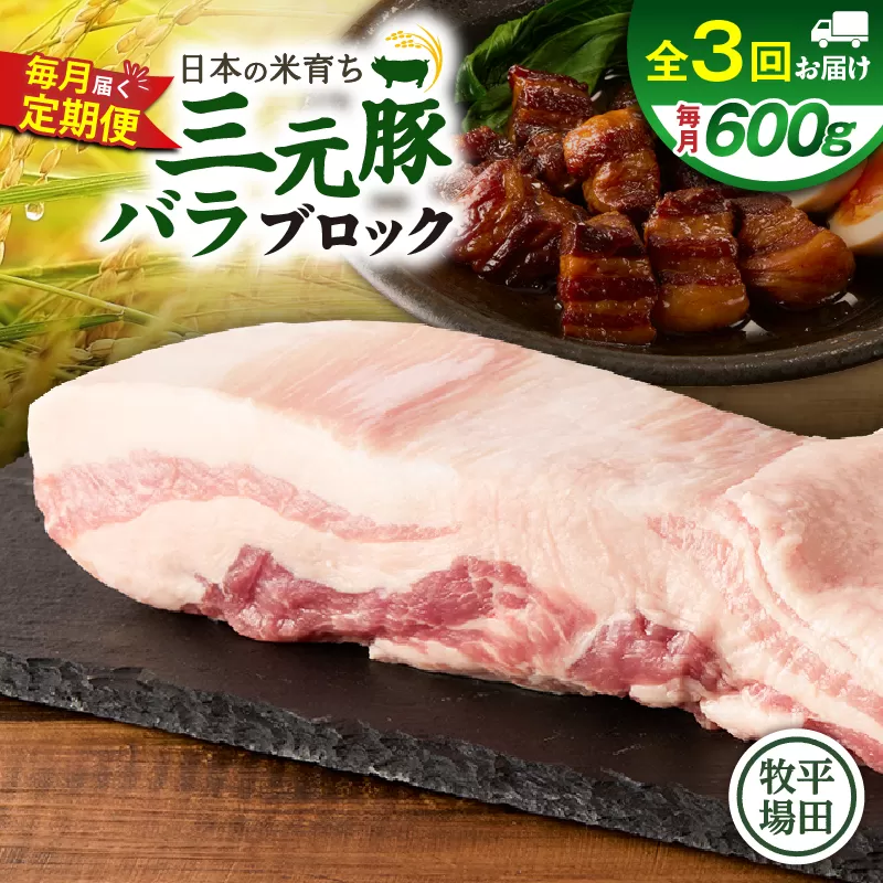 【全3回 毎月定期便】日本の米育ち平田牧場三元豚バラブロック 600g
