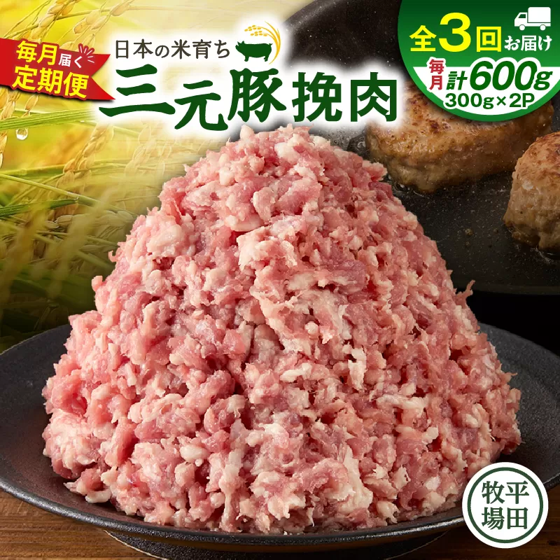 【全3回 毎月定期便】日本の米育ち平田牧場三元豚ひき肉 600g
