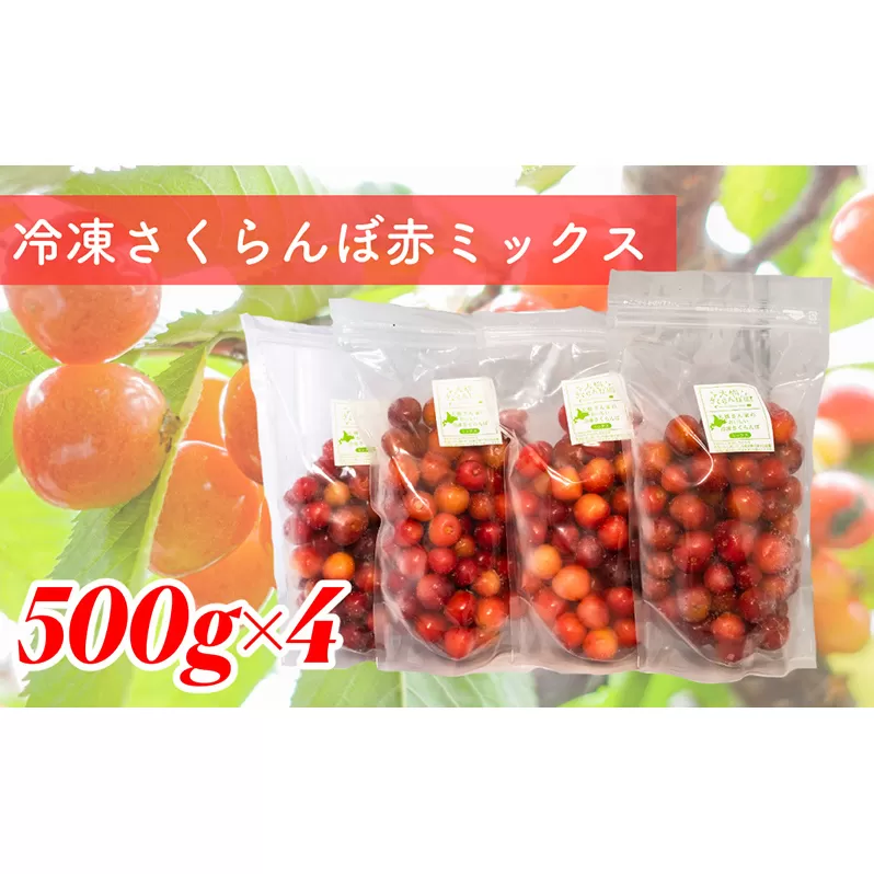 冷凍さくらんぼ 赤ミックス 500g×4パック 北海道 芦別市 大橋さくらんぼ園
