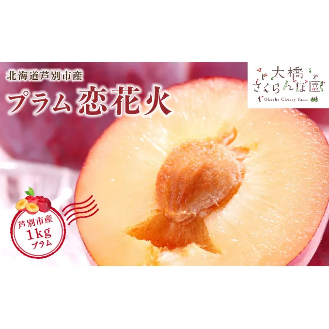 【 先行受付 】 プラム 恋花火 1kg フルーツ 果物 くだもの 旬のフルーツ 旬の果物 季節のフルーツ 季節の果物 北海道 芦別市