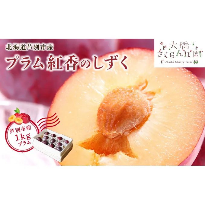 【 先行受付 】プラム 紅香のしずく 1kg 北海道産 すもも フルーツ 果物 旬のフルーツ 旬の果物 くだもの 北海道 芦別市