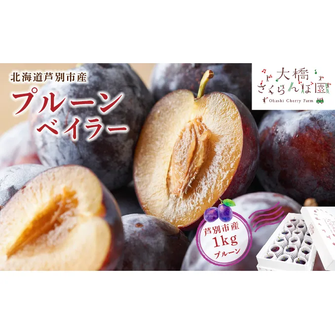 【 先行受付 】プルーン ベイラー 1kg 生 フルーツ 果物 旬のフルーツ 旬の果物 くだもの 北海道 芦別市