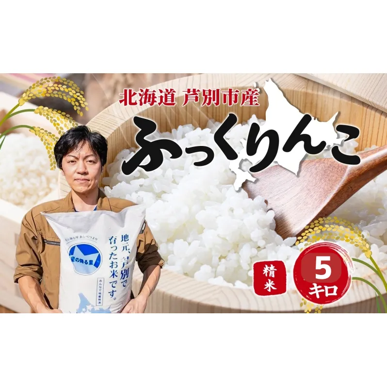 米 令和7年 ふっくりんこ 5kg 北海道米 白米 精米 お米 おこめ こめ ご飯 ごはん 単一原料米 ブランド米 特A米 特A 令和7年産 北海道 芦別市 芦別応援米