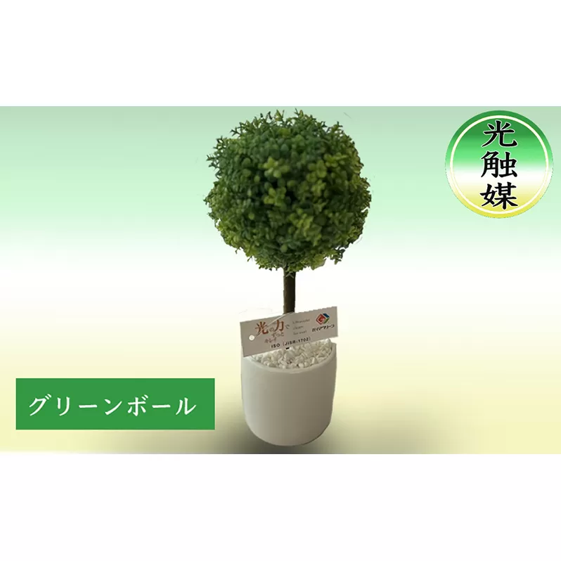 光触媒・造花 グリーンボール 約25cm 観葉植物 植物 北海道 芦別市 日本インソール工業