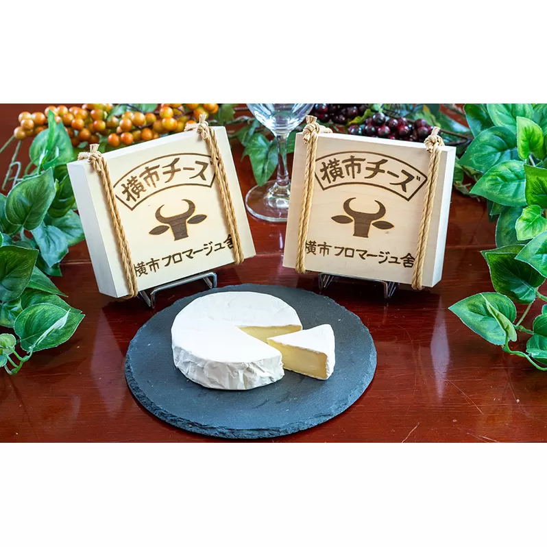 カマンベールタイプ 横市チーズ 170g×2個 北海道 芦別市 横市フロマージュ舎