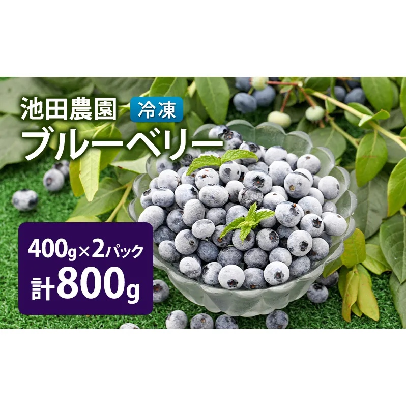 冷凍 ブルーベリー 800g (400g×2パック) 北海道産 フルーツ 果物 旬のフルーツ 旬の果物 くだもの 北海道 芦別市