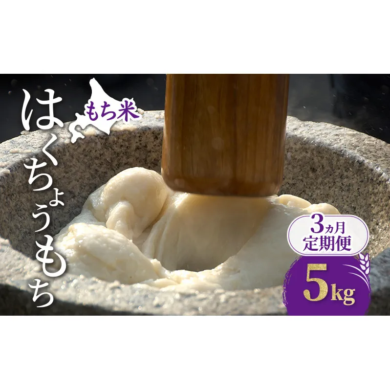 3ヵ月 定期便 米 北海道 もち米 はくちょうもち 5kg (ホクレン米) 特A 獲得 白米 お取り寄せ ごはん 道産米 ブランド米 5キロ お米 ご飯 米 北海道米 送料無料 北海道 芦別市