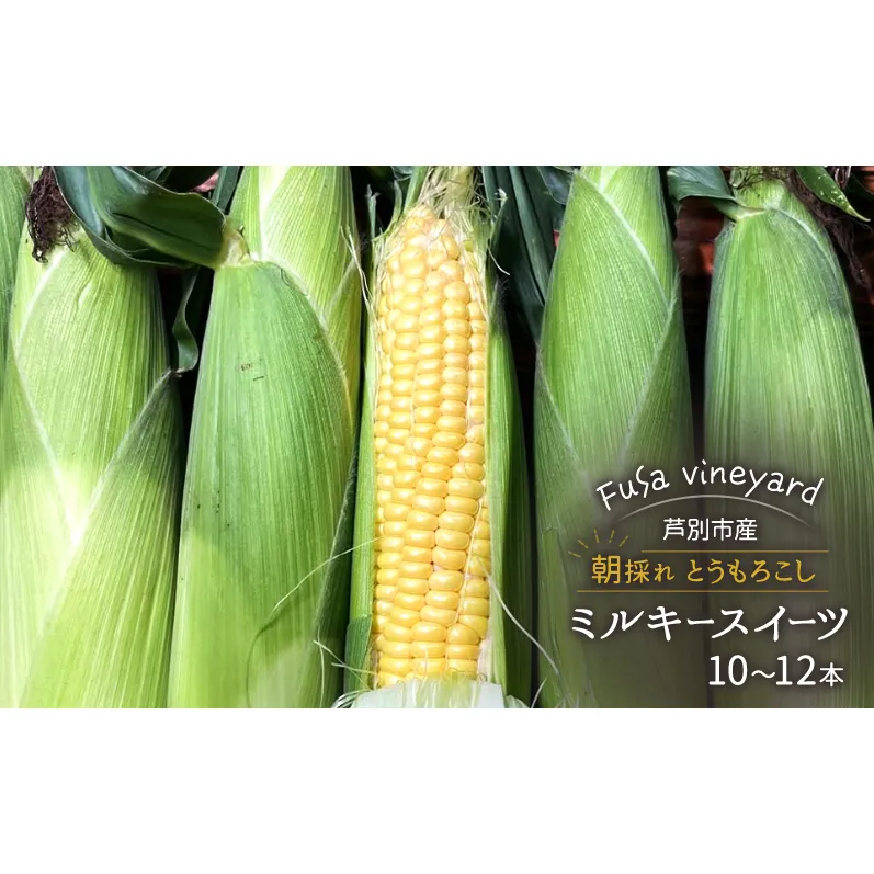 北海道芦別市産 とうもろこし ミルキースイーツ 10～12本 朝採れ 当日出荷 数量限定 生食可 FuSa vineyard 夏野菜