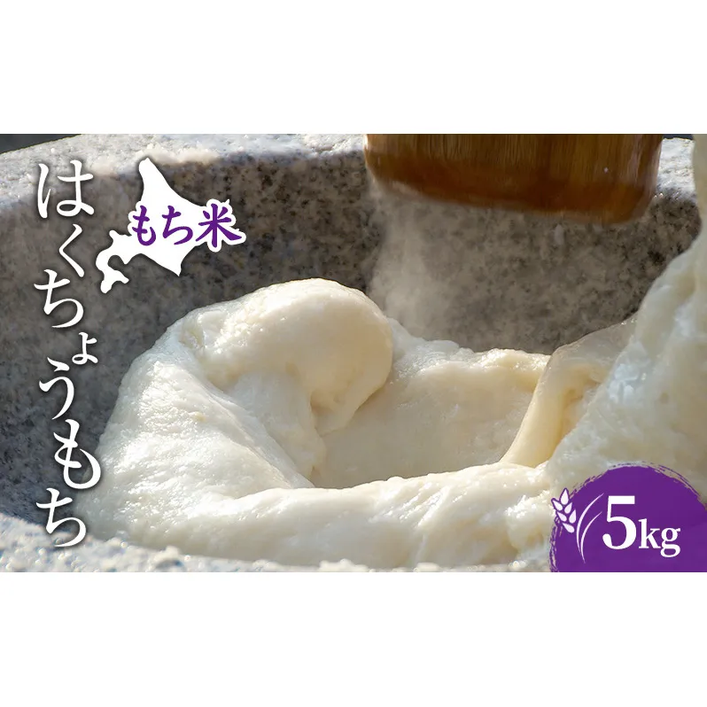 米 北海道 もち米 はくちょうもち 5kg (ホクレン米) 獲得 白米 お取り寄せ ごはん 道産米 ブランド米 5キロ お米 ご飯 米 北海道米 送料無料 北海道 芦別市