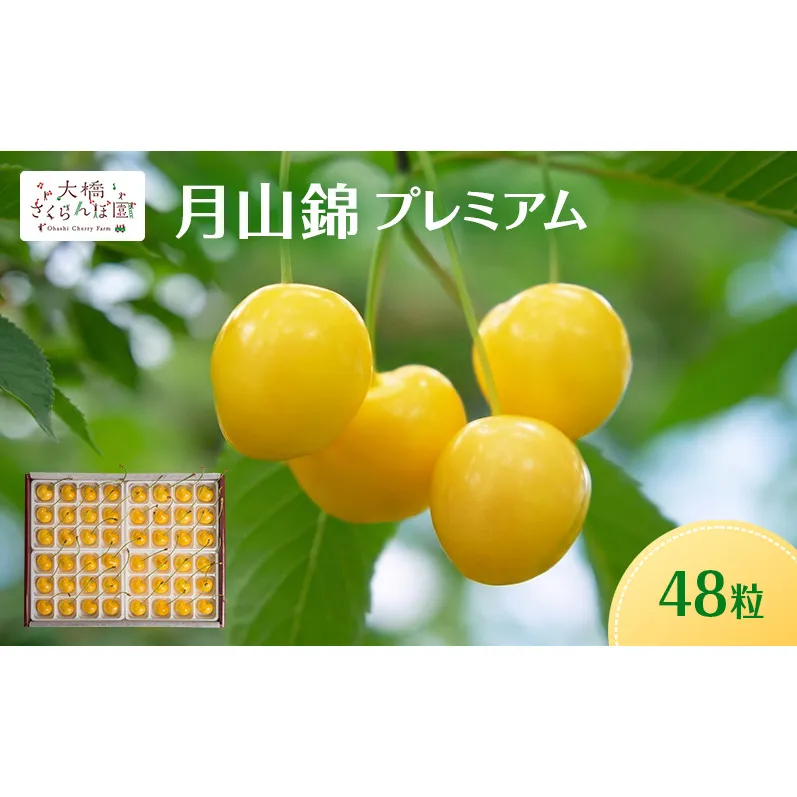 【先行予約】さくらんぼ 月山錦 プレミアム 48粒 最高級 特大粒 宝石箱 農林水産大臣賞受賞 完熟 フルーツ 果物 贈答用 北海道 芦別市 送料無料
