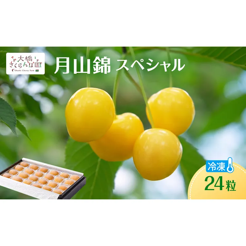 冷凍さくらんぼ 月山錦 スペシャル 24粒 化粧箱入 黄色いさくらんぼ 希少種 大粒 完熟 高級 フルーツ 果物 デザート 北海道 芦別市