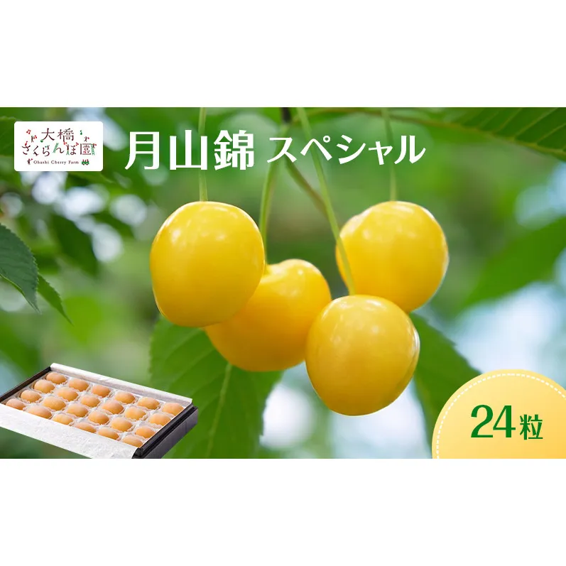 【先行予約】さくらんぼ 月山錦 スペシャル 24粒 化粧箱入 大橋さくらんぼ園 大粒 完熟 フルーツ 果物 さくらんぼの女王 贈答用 ギフト 北海道 芦別市 送料無料