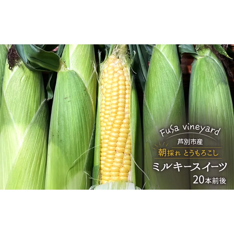 北海道芦別市産 とうもろこし ミルキースイーツ 20本前後 朝採れ 当日出荷 数量限定 生食可 FuSa vineyard 夏野菜