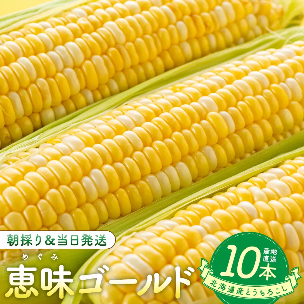 北海道産とうもろこし（恵味ゴールド10本）