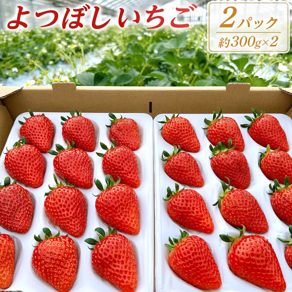 よつぼしいちご　約600g（約300g×2パック）