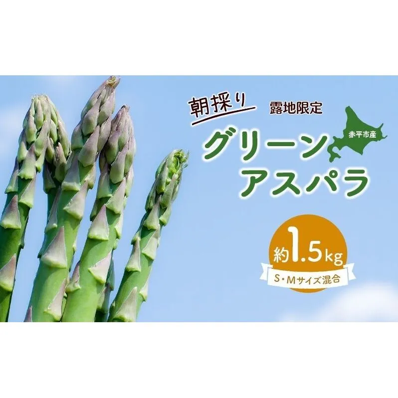 アスパラ 北海道 約1.5kg！朝採り 露地限定グリーンアスパラ（M・Sサイズ混合）［ほりぐち農園］※2026年5月中旬出荷開始先行予約  野菜 アスパラガス 旬 とれたて お取り寄せ 産地直送 