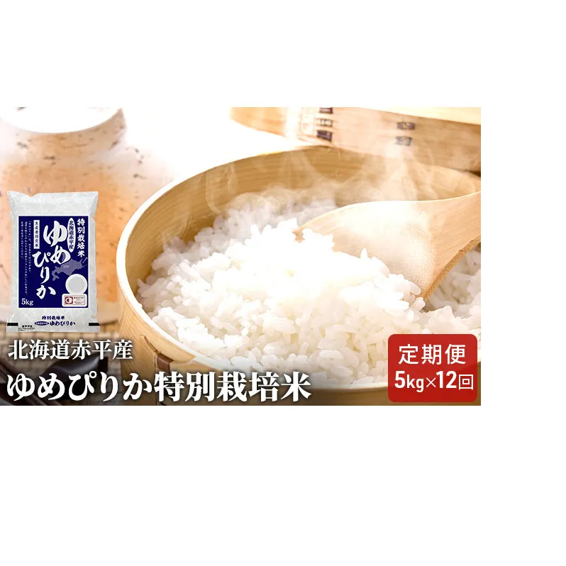 北海道赤平産 ゆめぴりか 5kg 特別栽培米 【12回お届け】 精米 米 北海道 定期便 ふるさと納税 