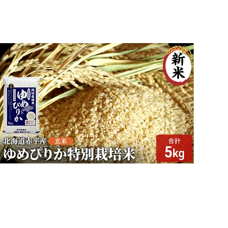 玄米 北海道赤平産 ゆめぴりか 5kg 特別栽培米 米 北海道 お米 ふるさと納税