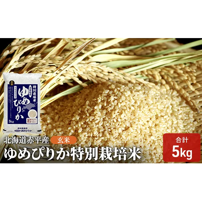 玄米 北海道赤平産 ゆめぴりか 5kg 特別栽培米 米 北海道 お米 ふるさと納税