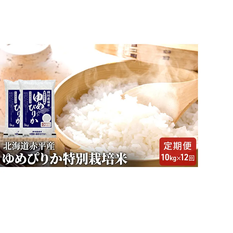 北海道赤平産 ゆめぴりか 10kg (5kg×2袋) 特別栽培米 【12回お届け】 米 北海道 定期便 お米 