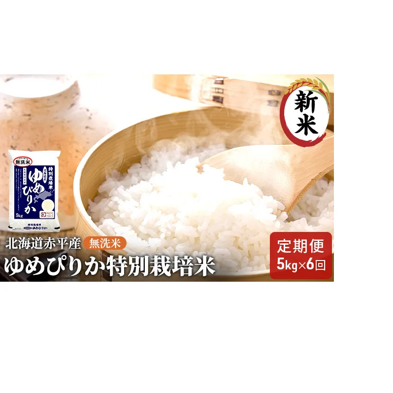 無洗米 北海道赤平産 ゆめぴりか 5kg 特別栽培米 【6回お届け】 米 北海道 定期便 ふるさと納税