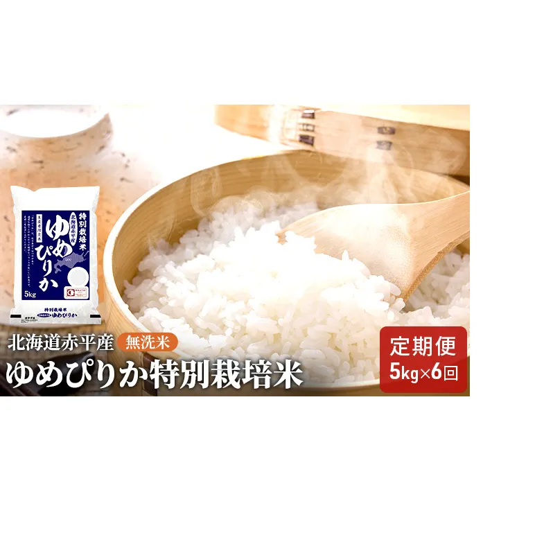 無洗米 北海道赤平産 ゆめぴりか 5kg 特別栽培米 【6回お届け】 米 北海道 定期便 ふるさと納税 