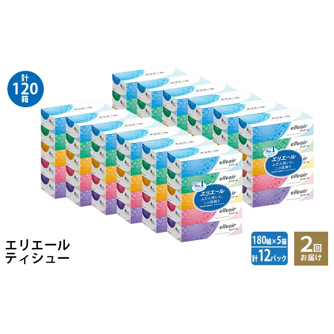 2回お届け 計120箱 エリエール ティシュー 180組5箱 12パック ティッシュペーパー 箱ティッシュ ボックスティッシュ 紙 まとめ買い 防災 常備品 備蓄品 消耗品 日用品 生活必需品 送料無料 赤平市 ストック 
