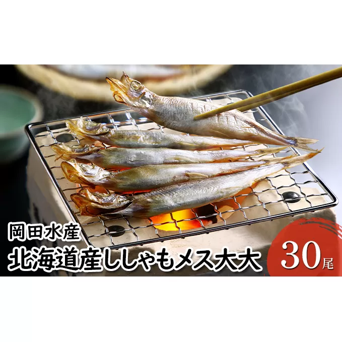 北海道産ししゃもメス大大30尾 北海道 稀少 魚シシャモ メス おつまみ
