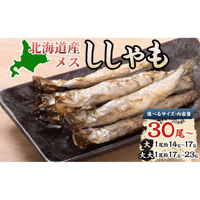 北海道産ししゃもメス大30尾 北海道 稀少 魚シシャモ メス おつまみ 魚貝類 干物 本物 人気 希少 塩 味付け 脂のり 旨み 美味しい 大きい