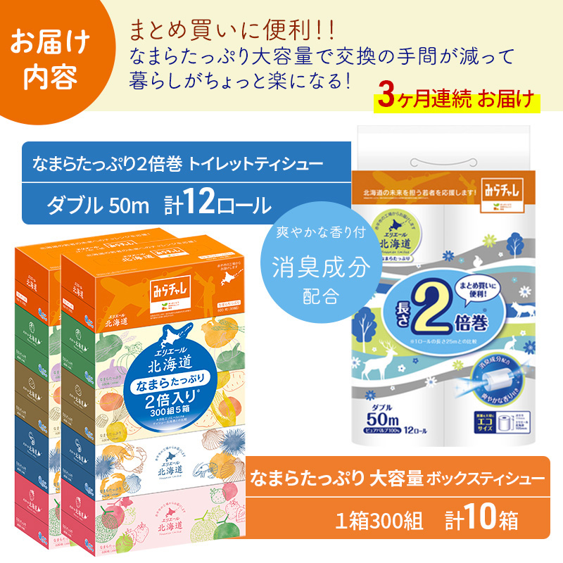 3ヶ月連続お届け】エリエール [アソートL] なまらたっぷり 大容量 
