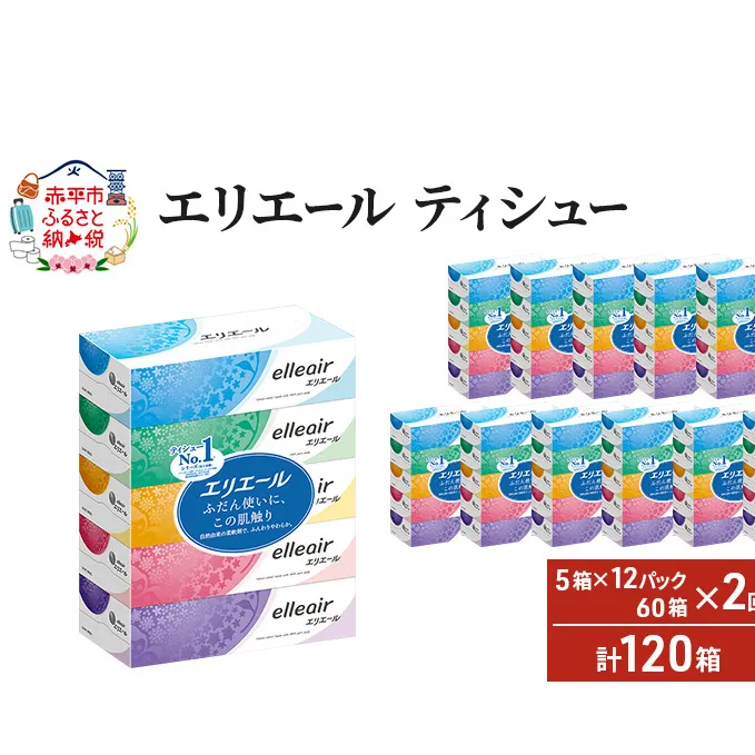【2ヵ月連続お届け・計120箱】エリエール ティシュー 180組5箱 12パック ティッシュペーパー 箱ティッシュ ボックスティッシュ 紙 まとめ買い 防災 常備品 備蓄品 消耗品 日用品 生活必需品 送料無料 赤平市