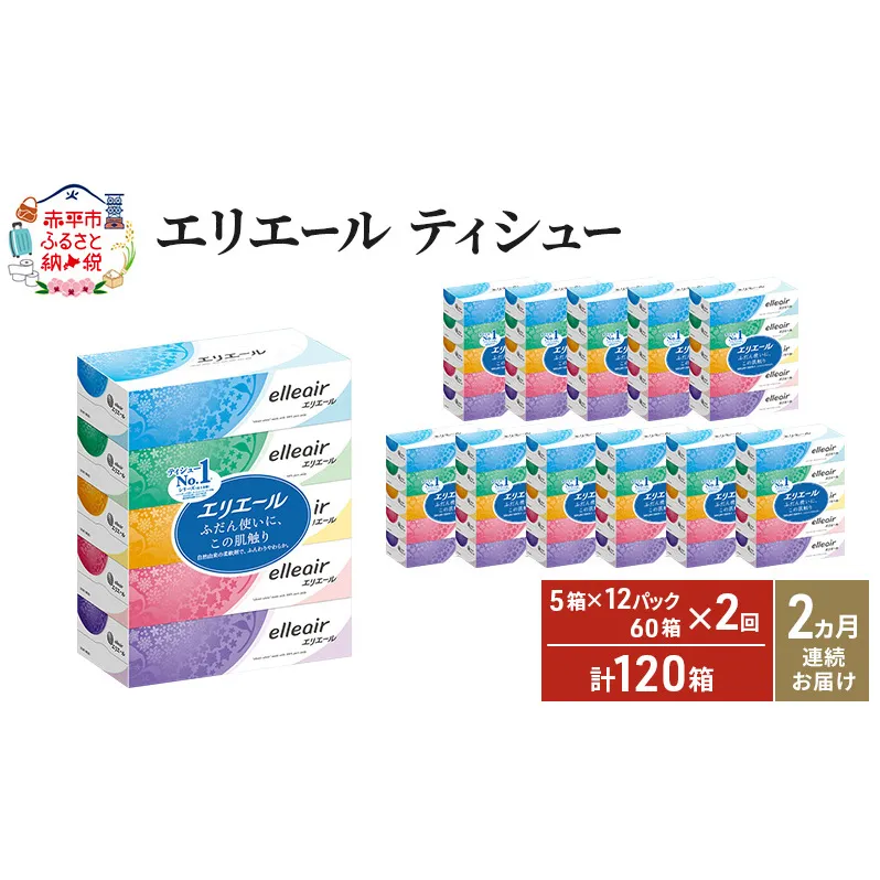 【2ヵ月連続お届け・計120箱】エリエール ティシュー 180組5箱 12パック ティッシュペーパー 箱ティッシュ ボックスティッシュ 紙 まとめ買い 防災 常備品 備蓄品 消耗品 日用品 生活必需品 送料無料 赤平市