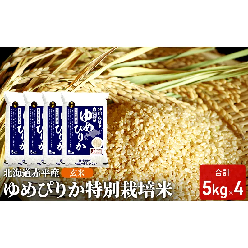 玄米 北海道赤平産 ゆめぴりか 20kg (5kg×4袋) 特別栽培米 米 北海道 お米 ふるさと納税