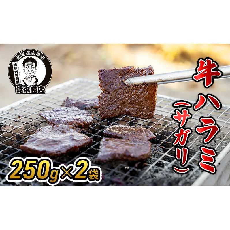 たきもとの牛ハラミ（サガリ）250g×2袋　焼肉 バーベキュー BBQ 牛 牛肉 ハラミ サガリ 冷凍 アウトドア タレ 味付け 北海道 ふるさと納税