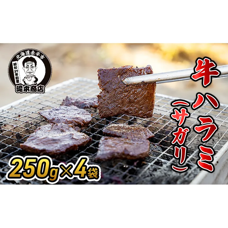 たきもとの牛ハラミ（サガリ）250g×4袋　焼肉 バーベキュー BBQ 牛 牛肉  ハラミ サガリ 冷凍 アウトドア タレ 味付け 北海道 ふるさと納税