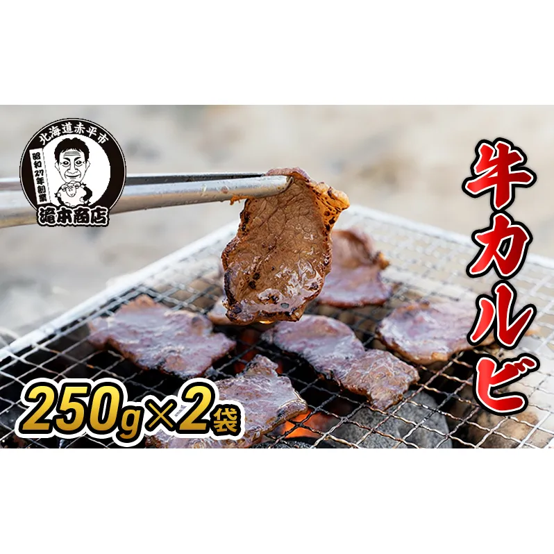 たきもとの牛カルビ250g×2袋 焼肉 バーベキュー BBQ 牛 牛肉 カルビ 冷凍 アウトドア タレ 味付け 北海道 ふるさと納税