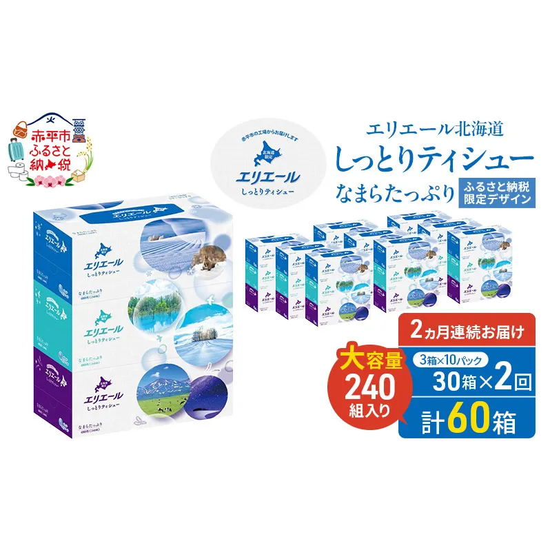 【2ヵ月連続お届け・計60箱】エリエール 北海道 しっとりティシュー なまらたっぷり 240組3箱 10パック ふるさと納税限定デザイン ボックスティシュー 箱ティッシュ ペーパー 備蓄品 花粉 保湿成分