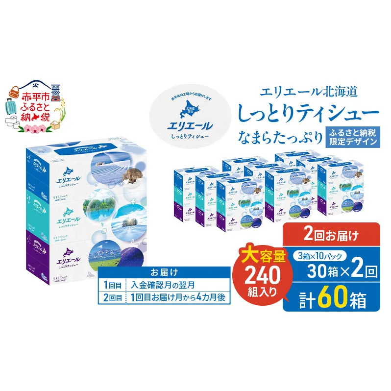 【2回お届け 計60箱】エリエール 北海道 しっとりティシュー なまらたっぷり 240組3箱 10パック ふるさと納税限定デザイン ボックスティシュー 箱ティッシュ ペーパー 備蓄品 花粉 保湿成分 グリセリン配合