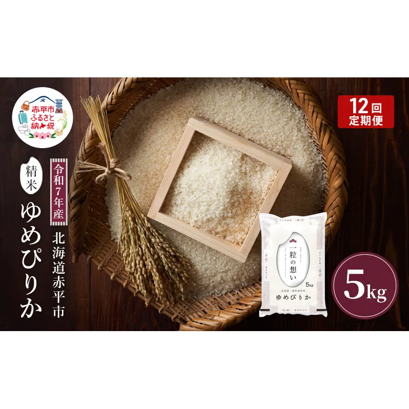 令和7年産 北海道 赤平産 ゆめぴりか 5kg 【限定寄附額】 12ヵ月連続お届け 白米 精米 米 北海道 ごはん ご飯 ライス おにぎり 定期便 定期 お楽しみ 12回