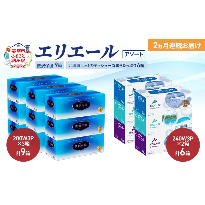 【定期便 2ヵ月連続お届け】エリエール 〈アソート〉贅沢保湿 200W3P 計9箱 北海道 しっとりティシュー なまらたっぷり 240組3箱 計6箱 ティッシュ ペーパー 箱 日用品 生活必需品 保湿成分配合 ティッシュ 紙