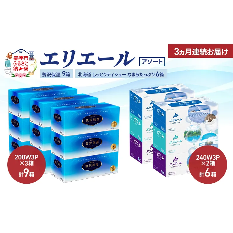 【定期便 3ヵ月連続お届け】エリエール 〈アソート〉贅沢保湿 200W3P 計9箱 北海道 しっとりティシュー なまらたっぷり 240組3箱 計6箱 ティッシュ ペーパー 箱 日用品 生活必需品 保湿成分配合 ティッシュ 紙