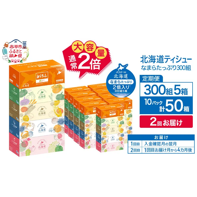 【2回お届け 計100箱】エリエール 北海道 ティシュー なまらたっぷり 300組5箱 10パック 大容量 まとめ買い 防災 常備品 備蓄品 消耗品 日用品 生活必需品 送料無料 赤平市 ストック