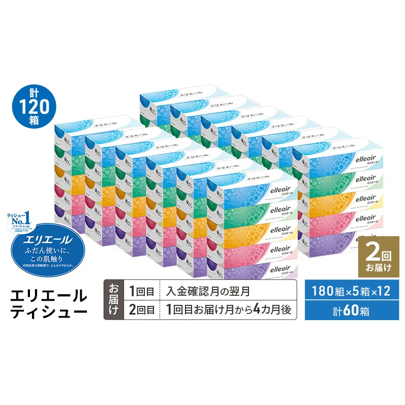 【2回お届け 計120箱】エリエール ティシュー 180組5箱 12パック ティッシュペーパー 箱ティッシュ ボックスティッシュ 紙 まとめ買い 防災 常備品 備蓄品 消耗品 日用品 生活必需品 送料無料 赤平市 ストック 