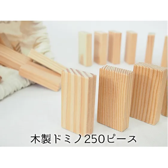 ドミノ 木製 おもちゃ こだわりの木材でつくる！ 木製ドミノ 250ピース 工芸品 室内 遊び 玩具 ファミリートイ ゲーム 