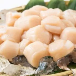 15-286 大粒！冷凍帆立貝柱500ｇ×2(計1kg)